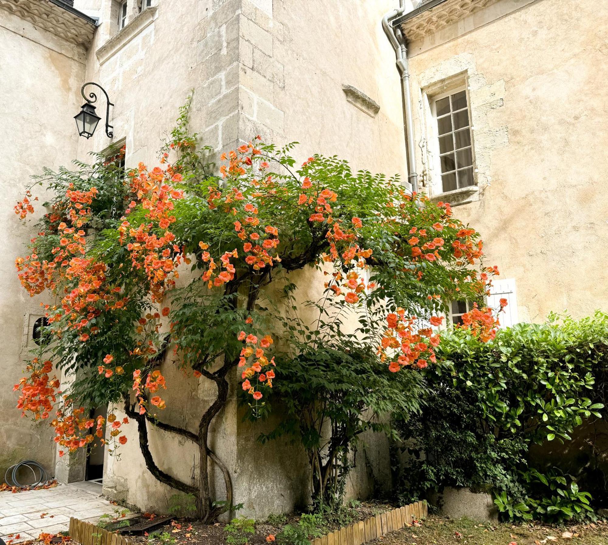 Bed and Breakfast Domaine Labattut Saint-Astier  Екстер'єр фото